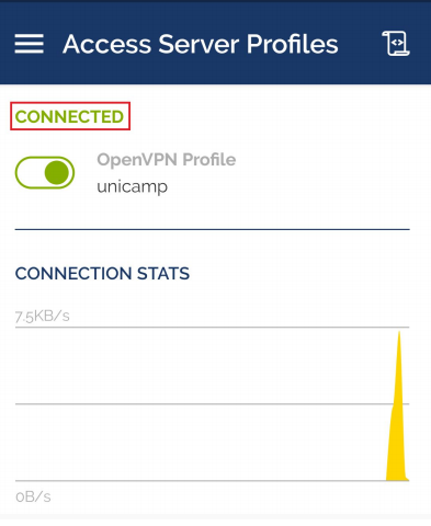 Conectado na VPN da Unicamp